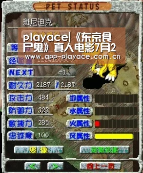 playace官网
